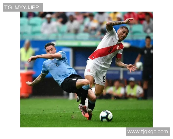 美洲足球明星暴力行为排行榜揭示球场背后的黑暗面