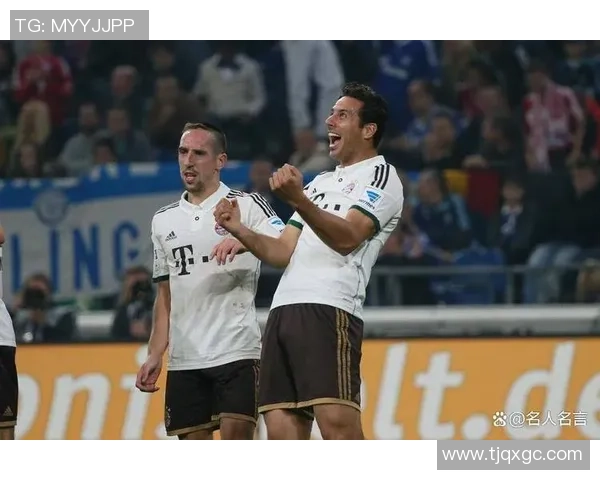 从逆境中崛起的足球传奇里贝里用奋斗书写人生辉煌篇章